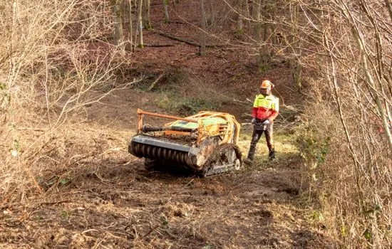 Funkraupe mit Mulchkopf beim Freischneiden eines Waldhangs, Bediener mit Fernsteuerung im Hintergrund