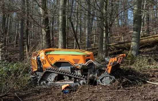 Funkraupe mit Mulchkopf beim Räumen von Schlagabraum im Buchenwald