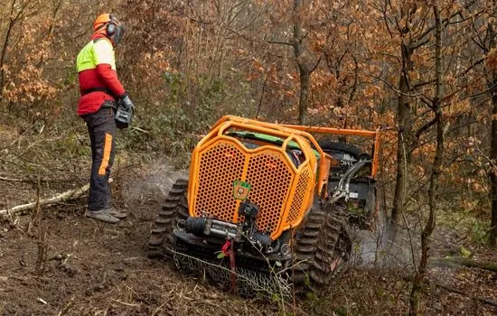 Bediener in Warnschutzkleidung neben der Funkraupe im Waldbestand