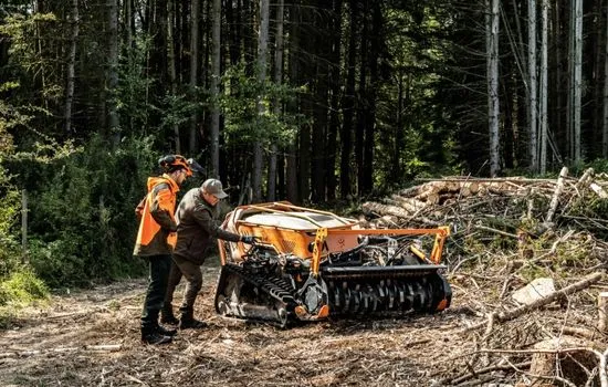 Zwei Mitarbeiter an der Funkraupe auf einer Holzerntefläche im Wald