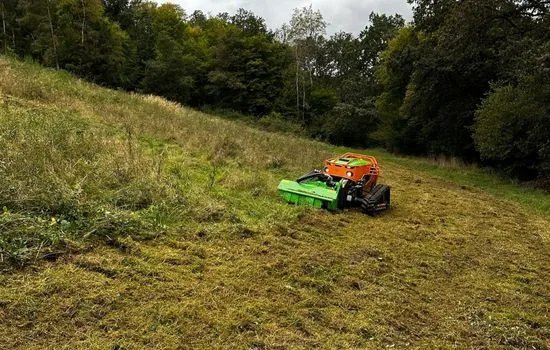Funkraupe beim Mulchen einer großen Wiesenfläche am Waldrand